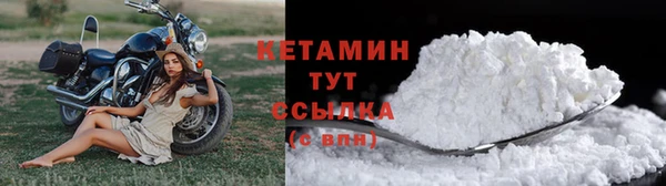 спиды Новозыбков