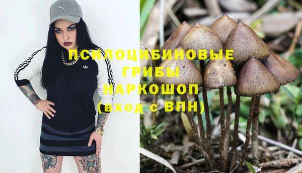 а пвп мука Новодвинск