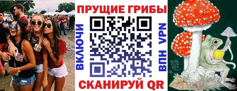 Галлюциногенные грибы Cubensis  купить  сайты  кракен как войти  Шарыпово 