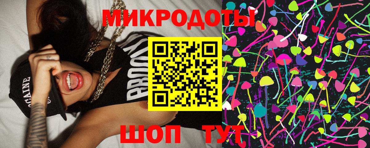 Псилоцибиновые грибы Psilocybe  Шарыпово 