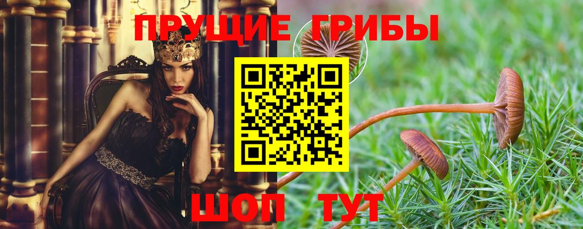 Псилоцибиновые грибы мицелий Шарыпово