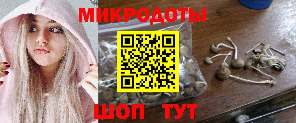 Галлюциногенные грибы Psilocybine cubensis  Псилоцибиновые грибы мицелий  Шарыпово  Вход с VPN 